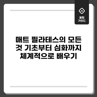 매트 필라테스의 모든 것: 기초부터 심화까지 체계적으로 배우기