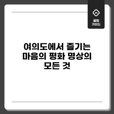 여의도에서 즐기는 마음의 평화: 명상의 모든 것