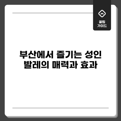 부산에서 즐기는 성인 발레의 매력과 효과