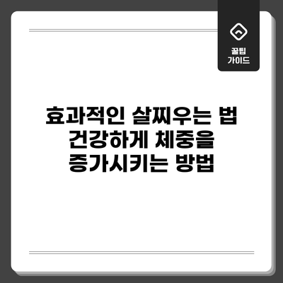 효과적인 살찌우는 법: 건강하게 체중을 증가시키는 방법