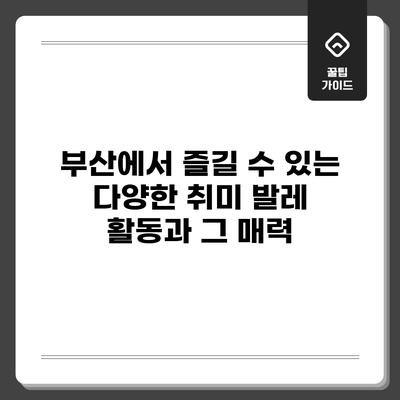 부산에서 즐길 수 있는 다양한 취미 발레 활동과 그 매력
