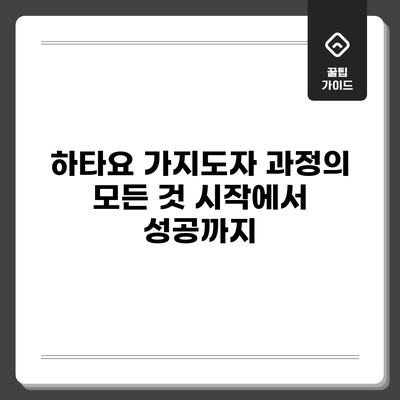 하타요 가지도자 과정의 모든 것: 시작에서 성공까지
