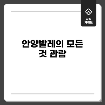 안양발레의 모든 것: 관람